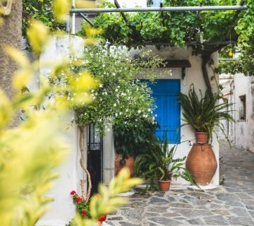 Tips voor het Veilig Houden van Je Tuin voor Je Huisdieren